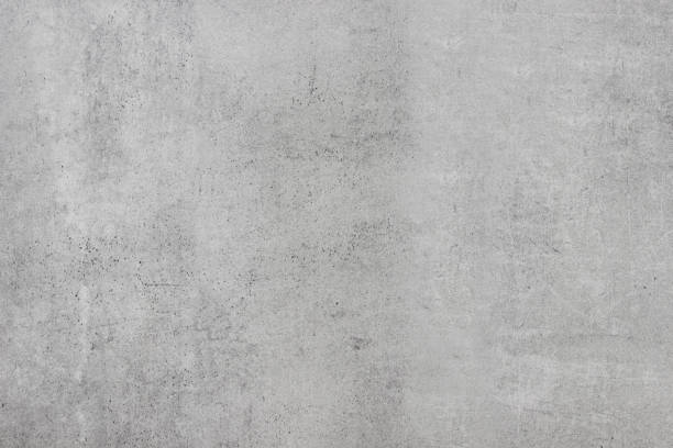 Best Custom Concrete Contractor  in Palatka, FL